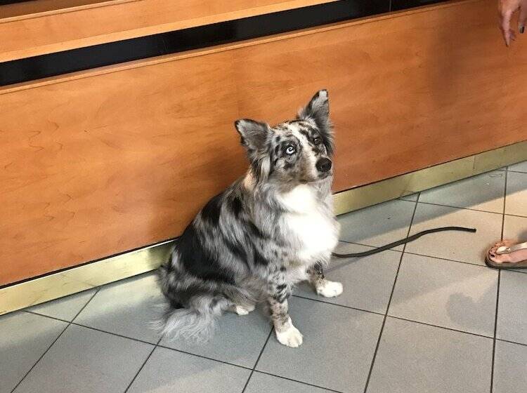 فندق Verdi Budapest Aquincum