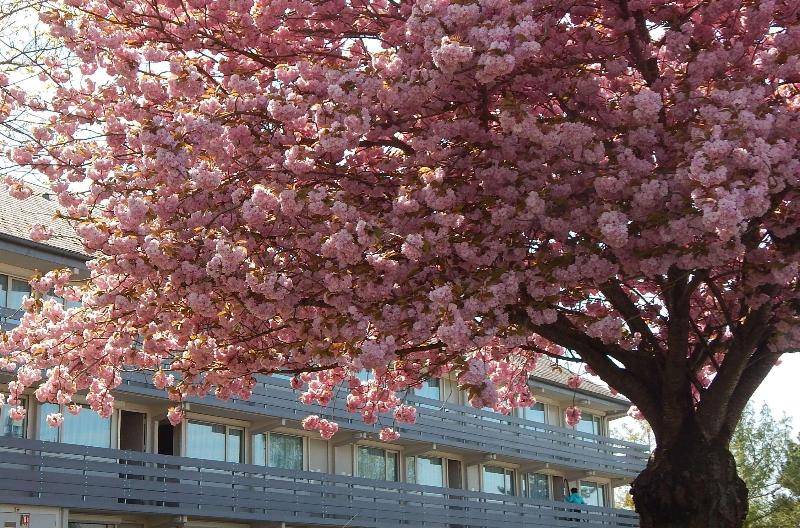 Отель Campanile Reims Est  Taissy