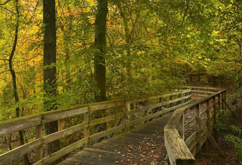ホテル Atlanta Evergreen Lakeside Resort