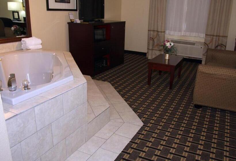 酒店 Americinn By Wyndham Woodstock Il