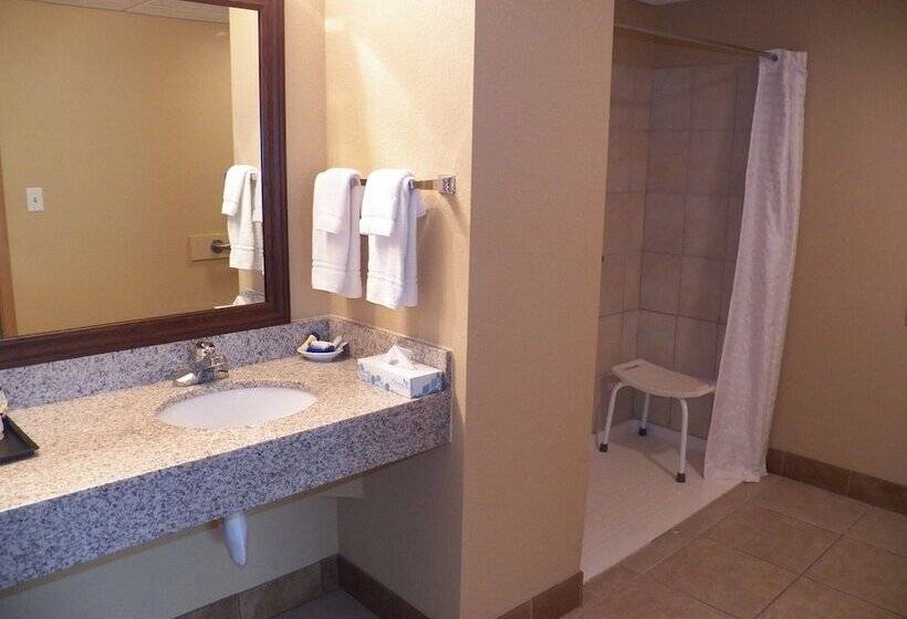 酒店 Americinn By Wyndham Woodstock Il