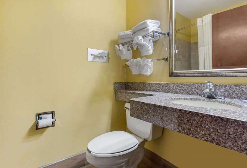 酒店 Quality Inn Williamston