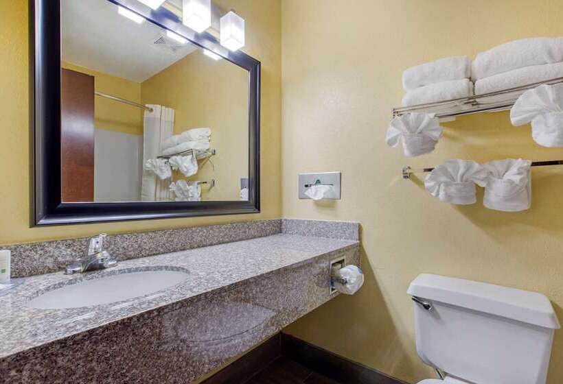 酒店 Quality Inn Williamston