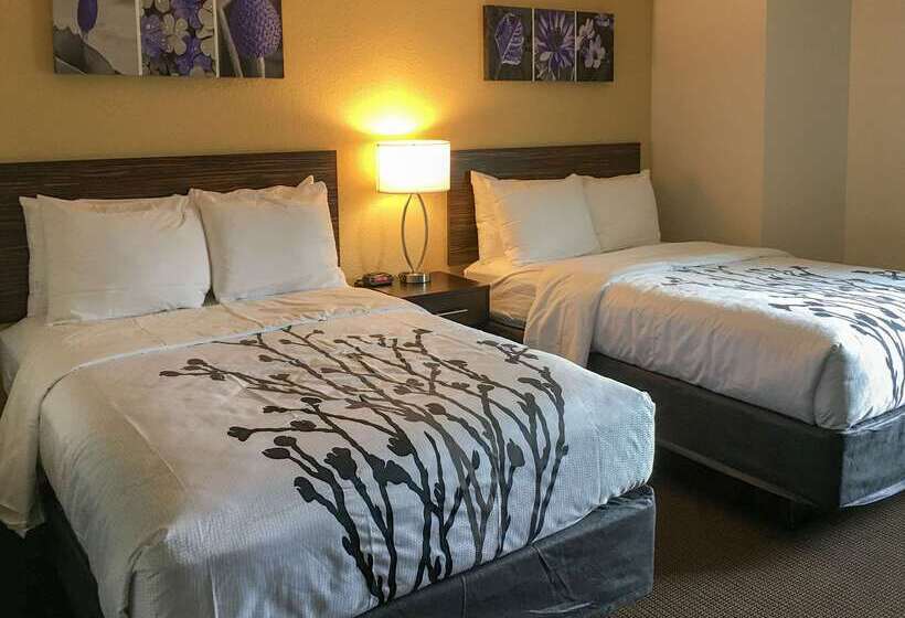 فندق Sleep Inn Florence North