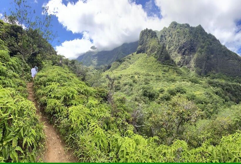 فندق Howzit Hostels