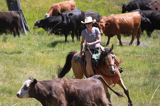 فندق Triple Creek Ranch