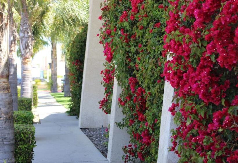 ホテル O'cairns Inn And Suites