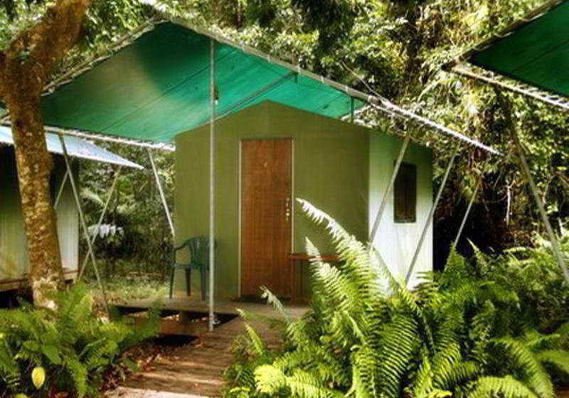 Hotel Jungle Lodge