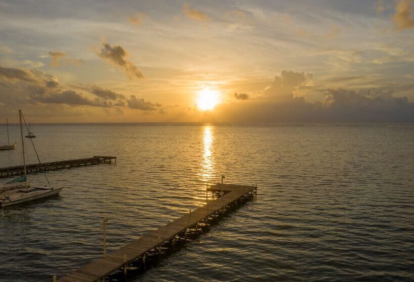 فندق Sunbreeze