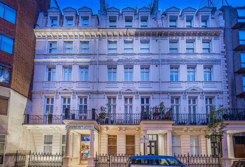 فندق Comfort Inn Hyde Park