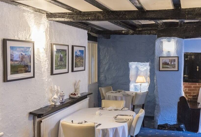 酒店 Gwesty Minffordd