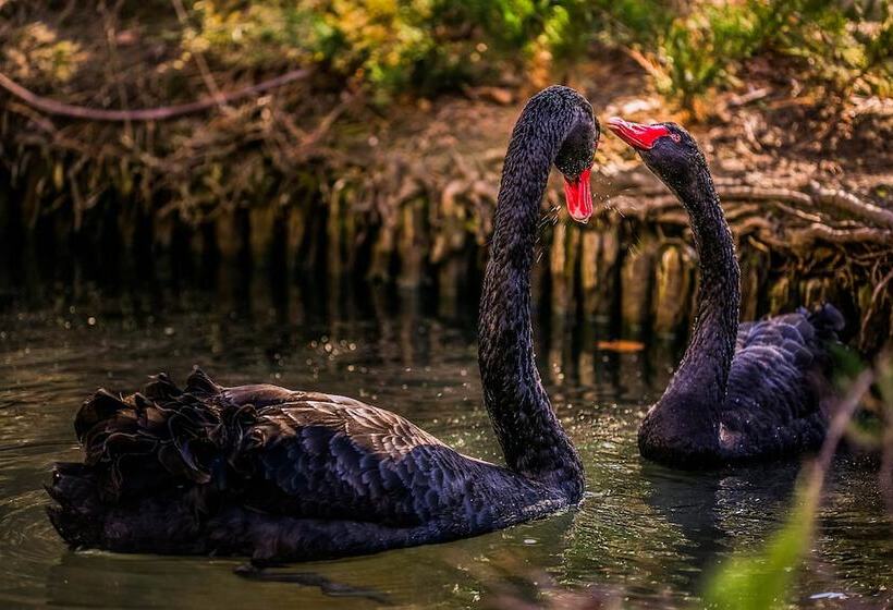 فندق Marinela Sofia