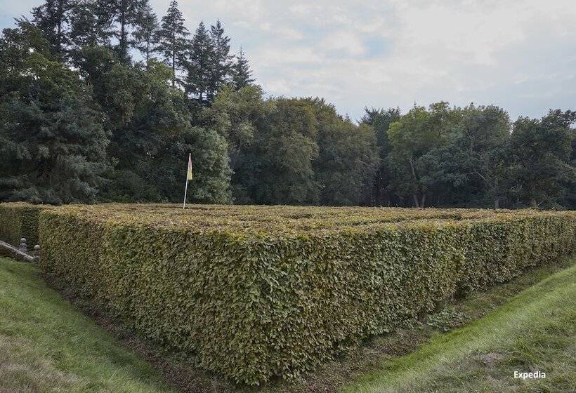 בית מלון כפרי Rhinefield House