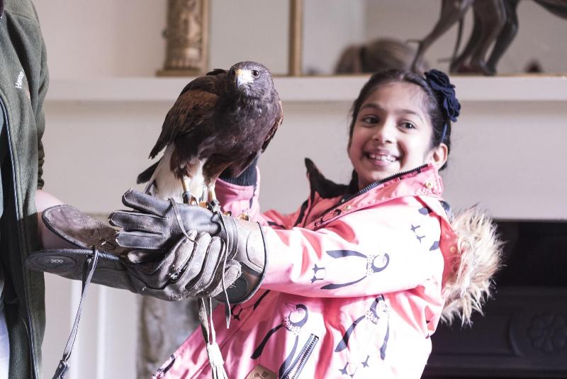 בית מלון כפרי The Royal