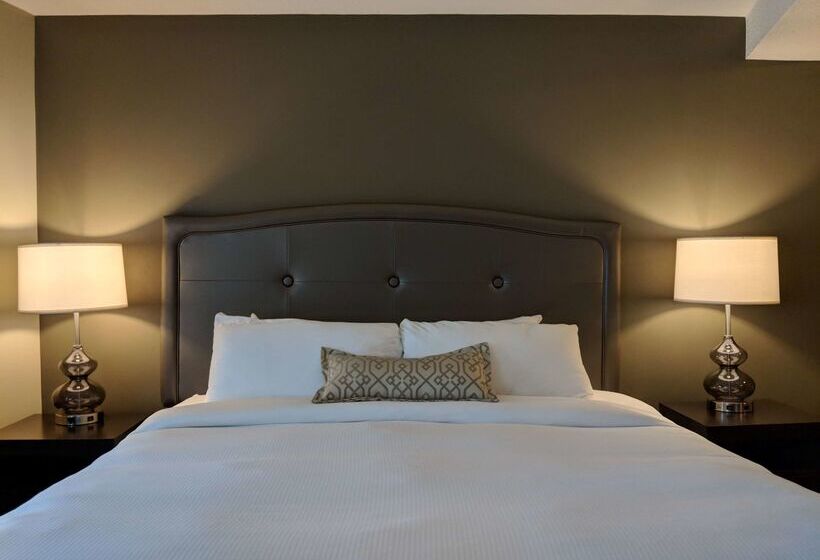 酒店 Best Western Swan Castle Inn