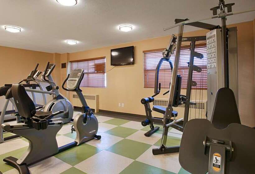 בית מלון כפרי Best Western Terrace Inn