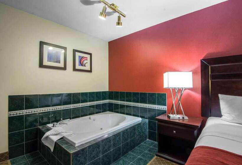 هتل Comfort Inn & Suites Airport South