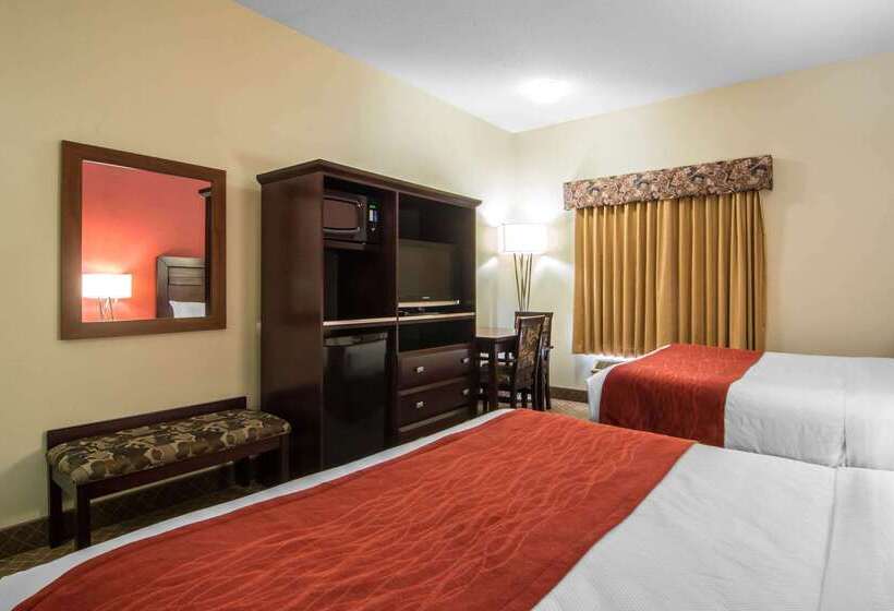 هتل Comfort Inn & Suites Airport South