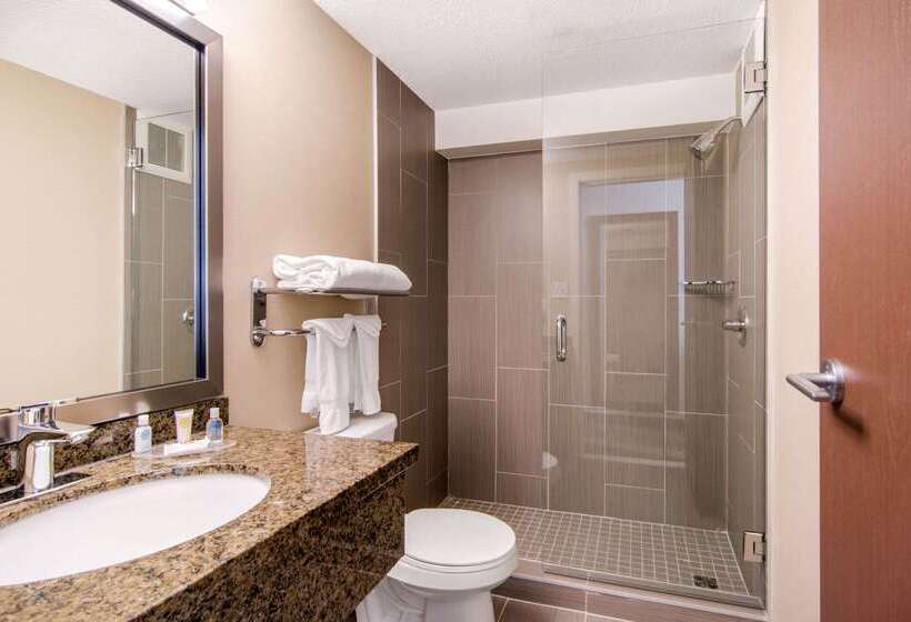 בית מלון כפרי Comfort Inn & Suites