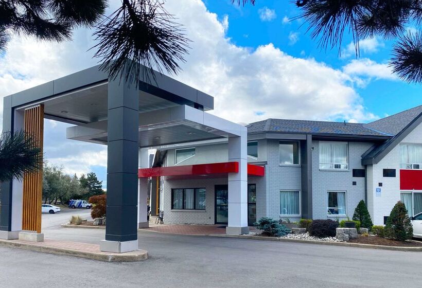 فندق Comfort Inn