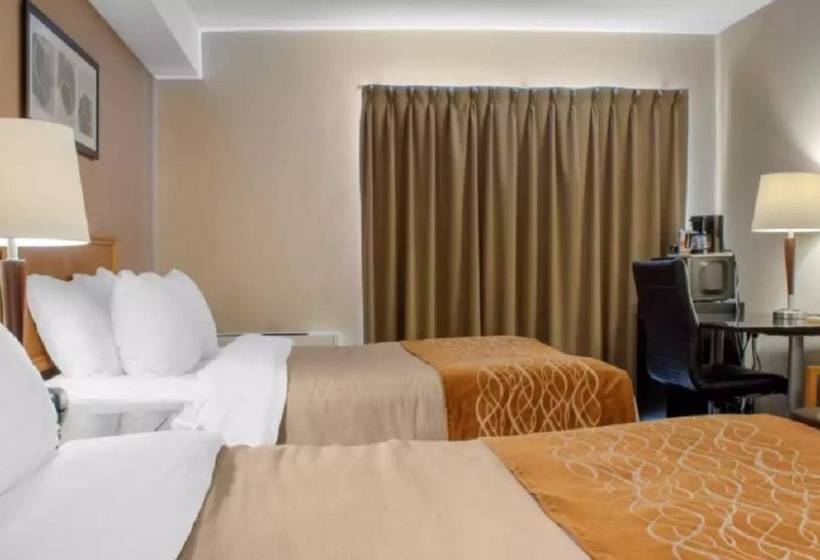 فندق Comfort Inn