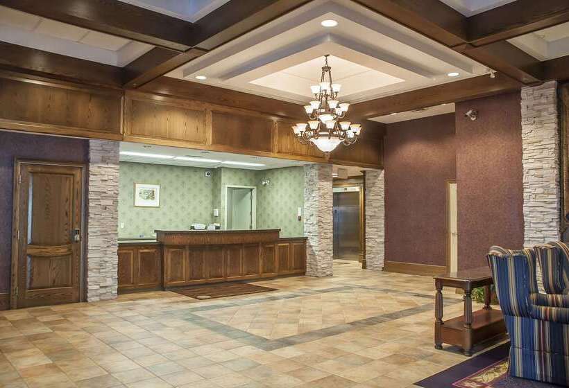 هتل Comfort Inn Lundy S Lane