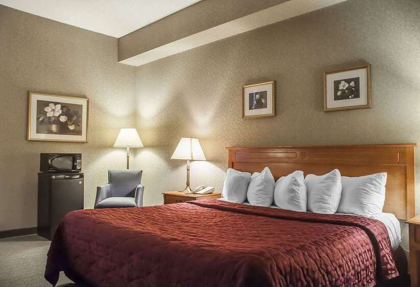 هتل Comfort Inn Lundy S Lane