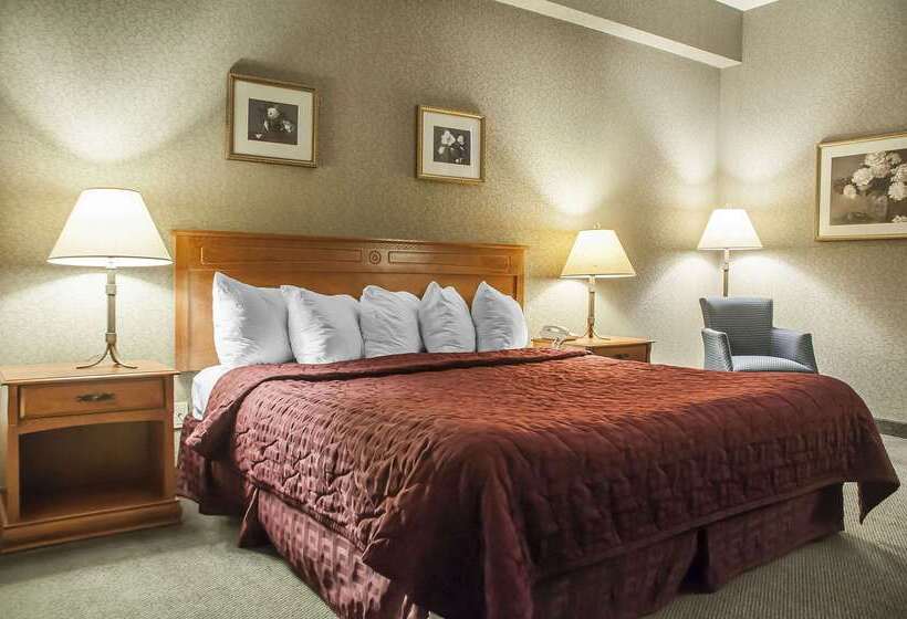 هتل Comfort Inn Lundy S Lane