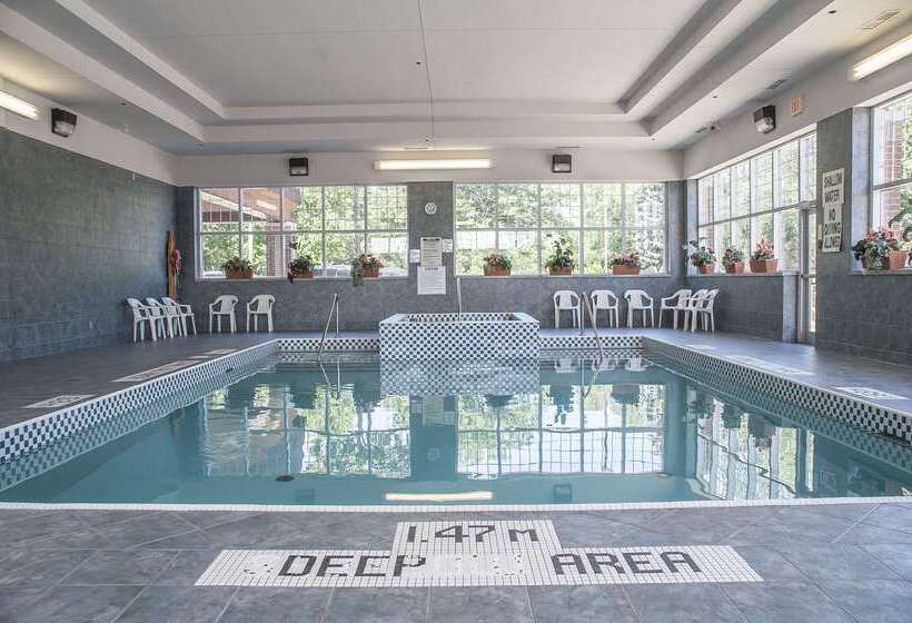 هتل Comfort Inn Lundy S Lane