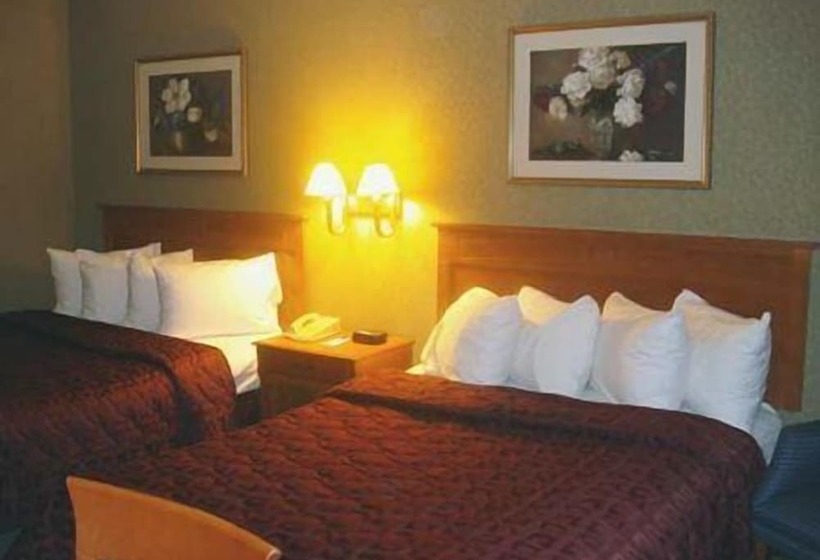 هتل Comfort Inn Lundy S Lane