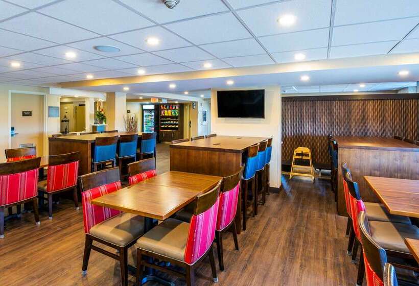酒店 Comfort Inn