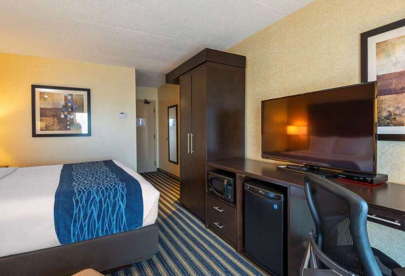 酒店 Comfort Inn