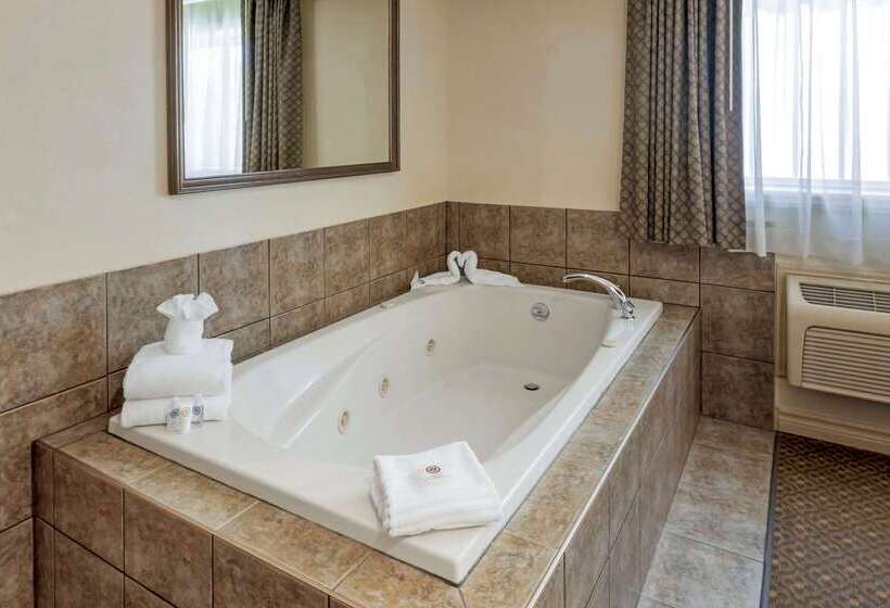 Отель Comfort Inn & Suites Thousand Islands Harbour District