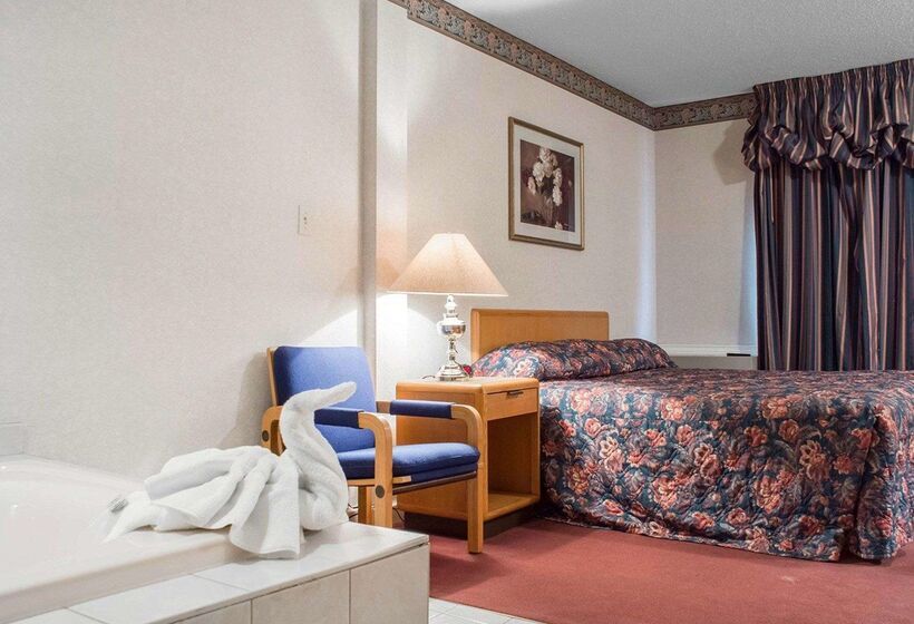 هتل Econo Lodge By The Falls