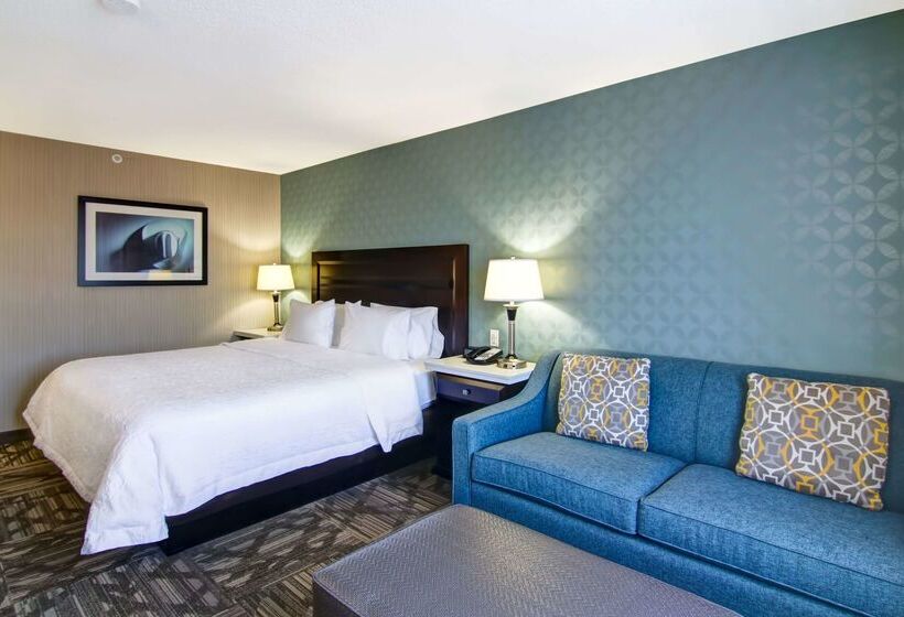 בית מלון כפרי Hampton Inn & Suites By Hilton Calgary Airport