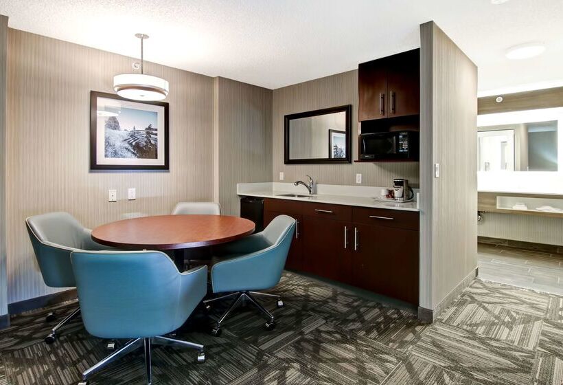 בית מלון כפרי Hampton Inn & Suites By Hilton Calgary Airport