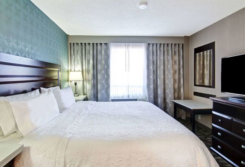בית מלון כפרי Hampton Inn & Suites By Hilton Calgary Airport