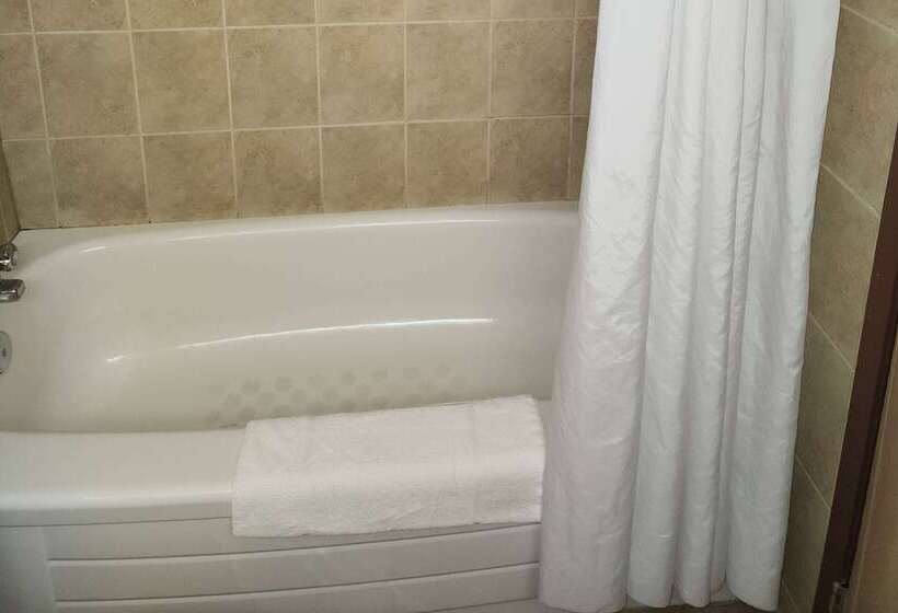 בית מלון כפרי Days Inn By Wyndham Drayton Valley