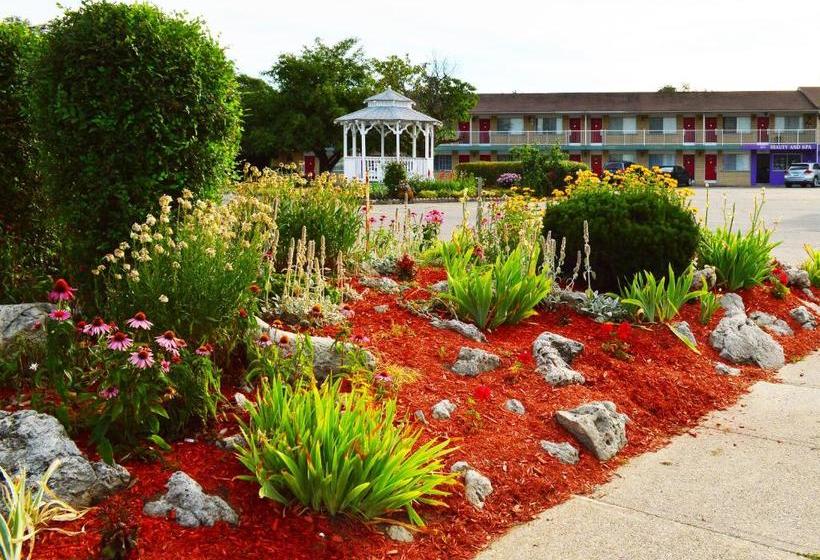 ホテル Rockwell Resort