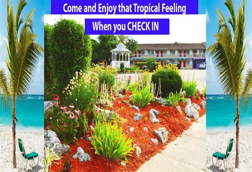 ホテル Rockwell Resort