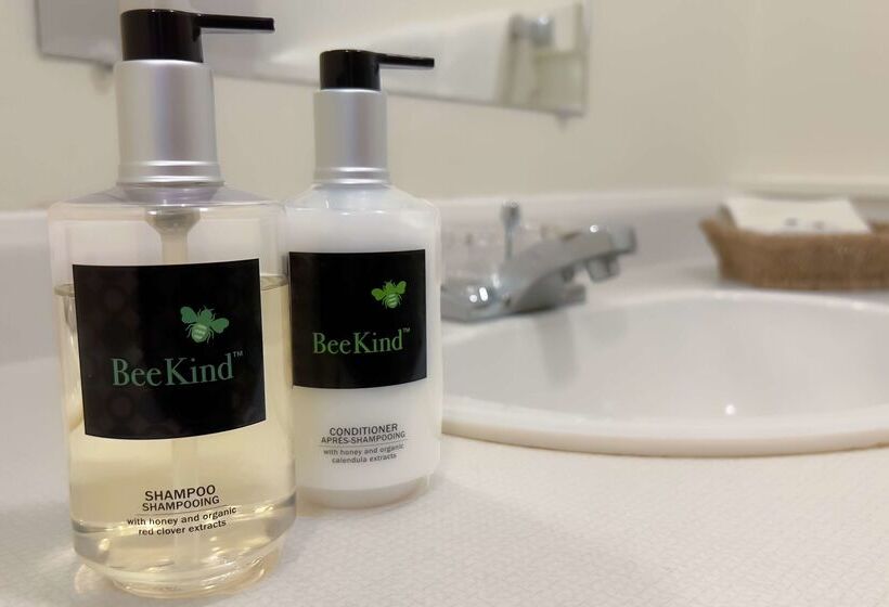 فندق The Downtown, A Coast