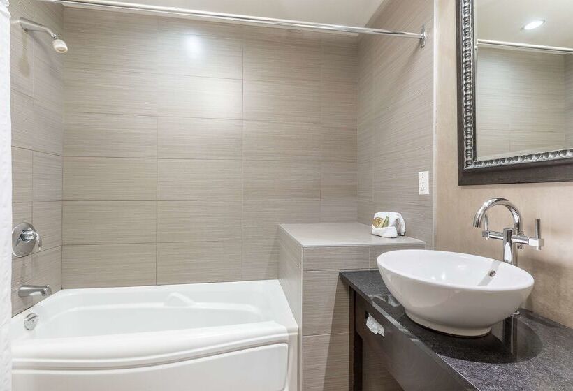 فندق Ambassadeur Et Suites