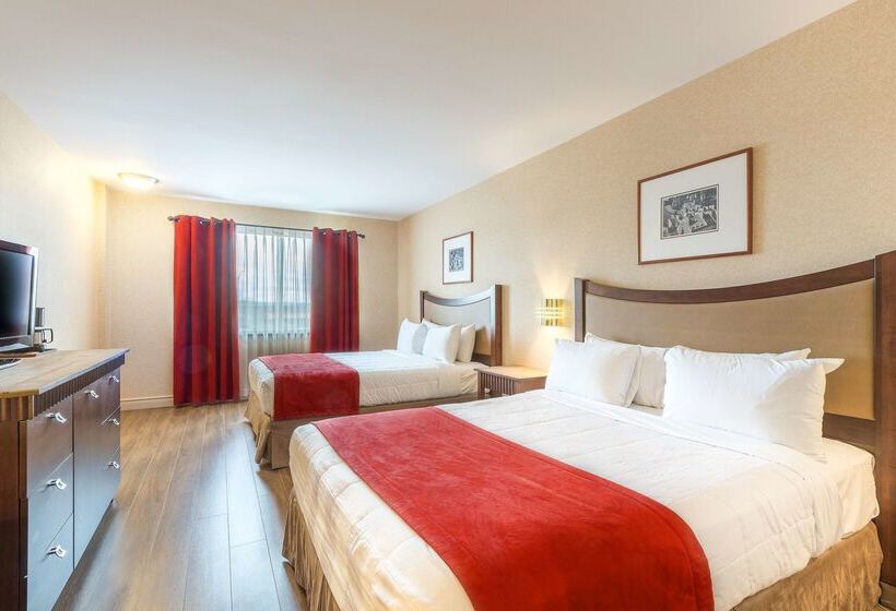 فندق Ambassadeur Et Suites