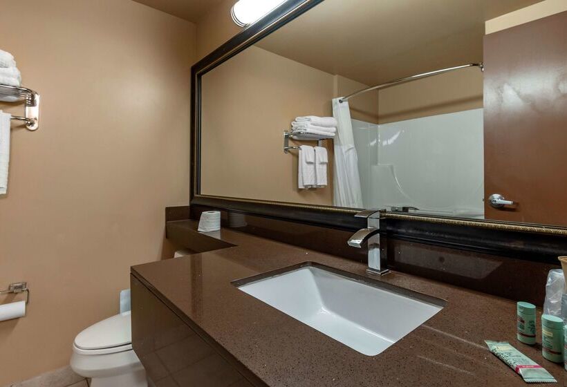 هتل Best Western Marquis Inn & Suites