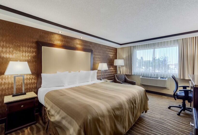 בית מלון כפרי Best Western Plus Edmonton Airport