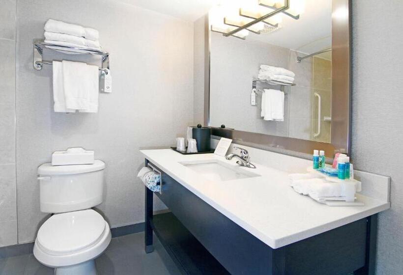 هتل Holiday Inn Express And Suites Calgary, An Ihg