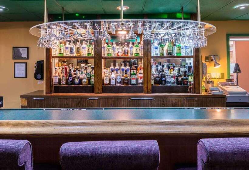 هتل Days Inn By Wyndham Sudbury & Conference Centre