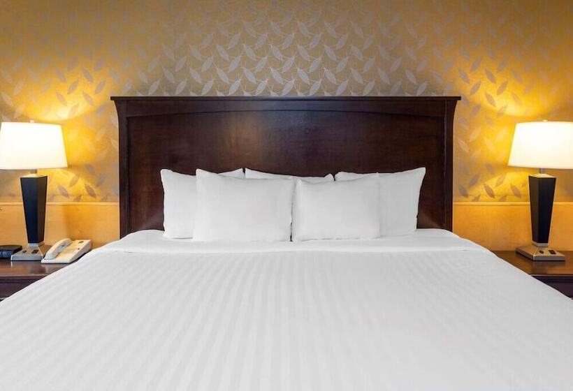 酒店 Prestige Riverside Lodge Quesnel