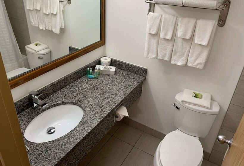 فندق Rodeway Inn