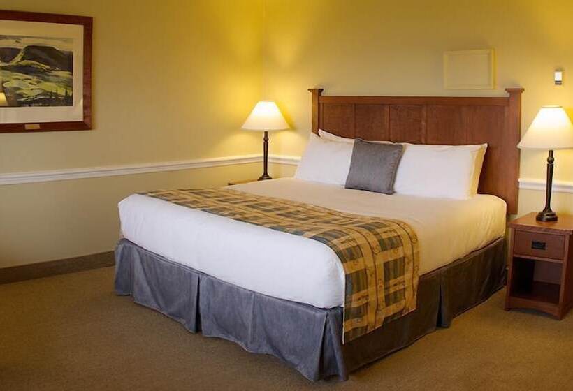 هتل Silver Dart Lodge